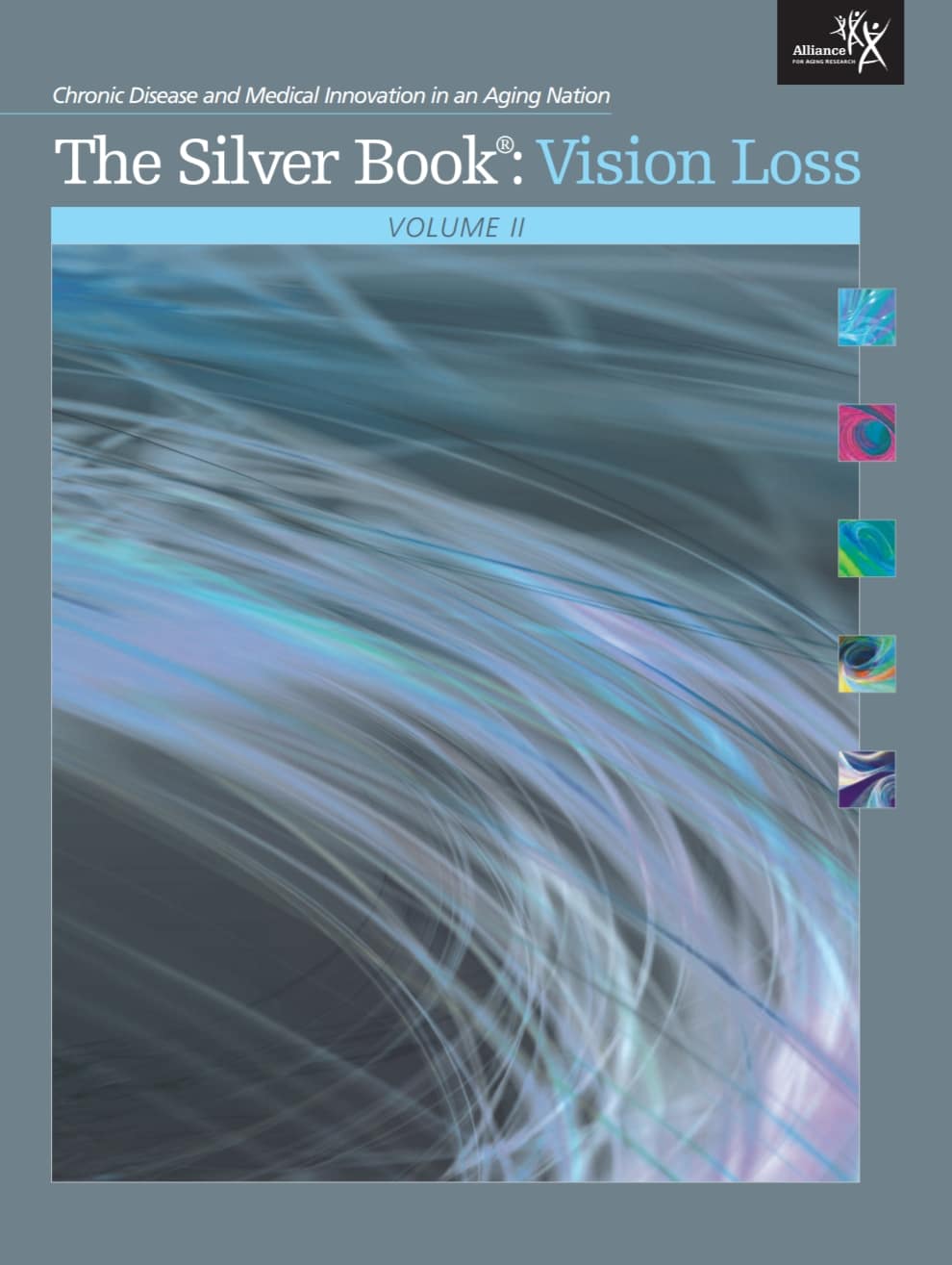 "The Silver Book: Vision Loss" cover.