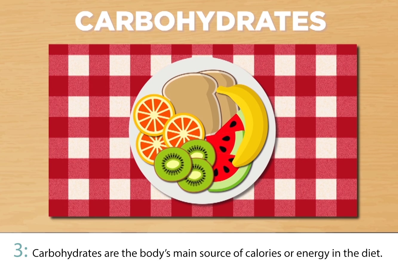 Cartoon plate with various carbohydrates such as bread and fruit.