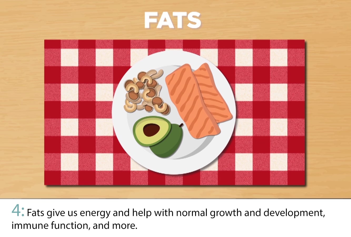 Cartoon plate with various fats.