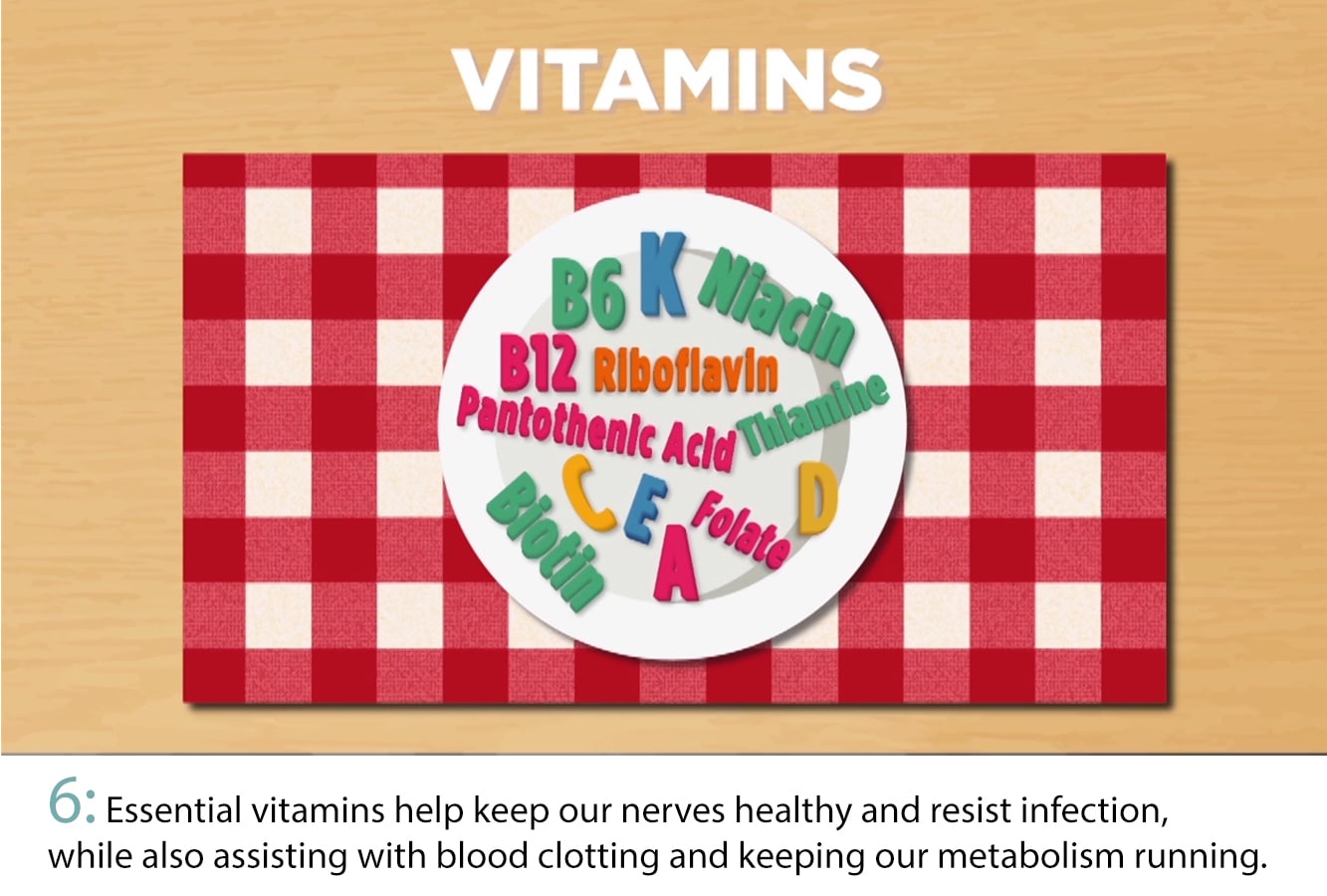 Cartoon plate with names of several vitamins on it.