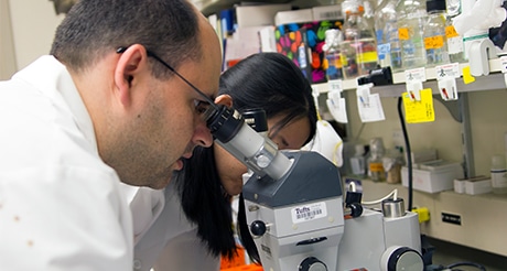 Scientist looking into microscope.