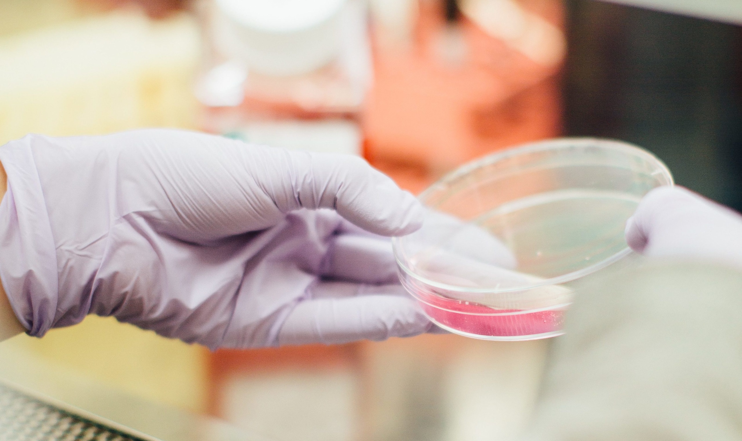 Lab technician analyzing a petri dish.