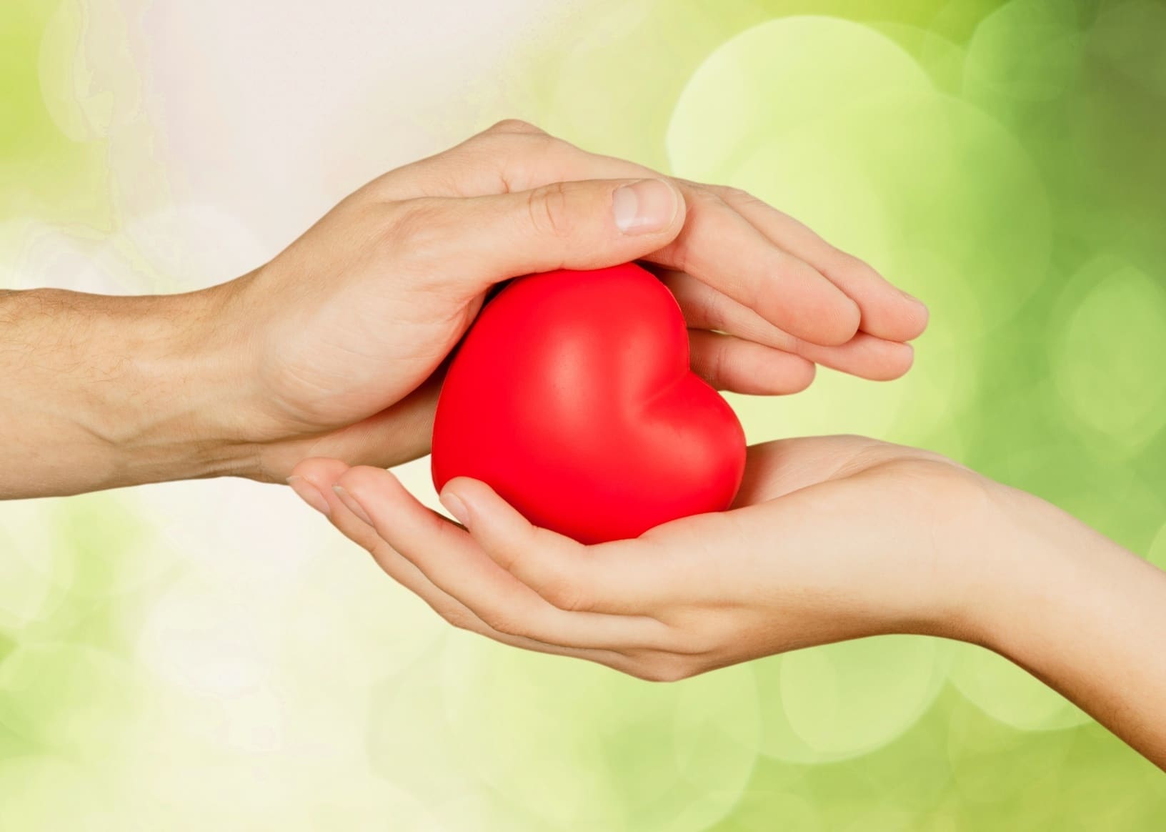 Hands holding a plastic heart.