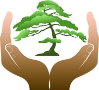 Cartoon pair of hands holding tree.