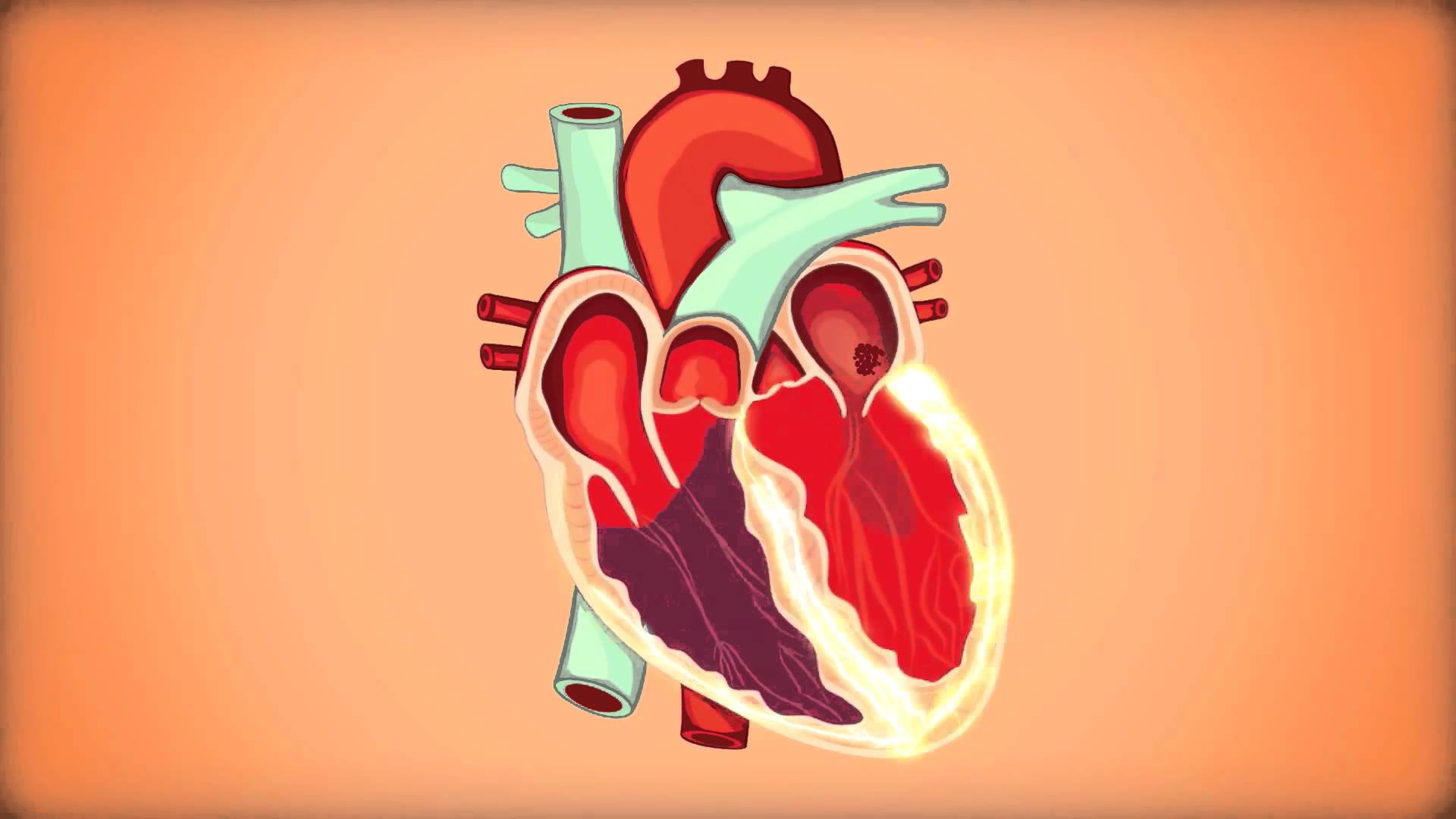 Cartoon anatomical heart.