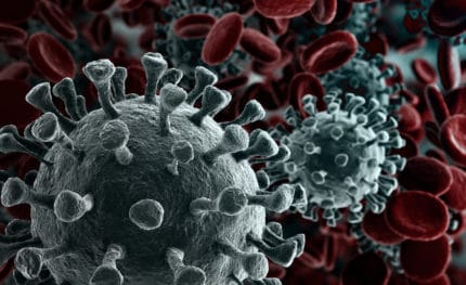 Coronavirus cells and red blood cells.